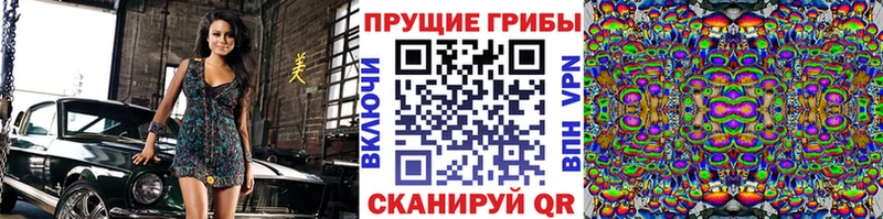 кракен   Будённовск  Галлюциногенные грибы прущие грибы  купить наркоту 